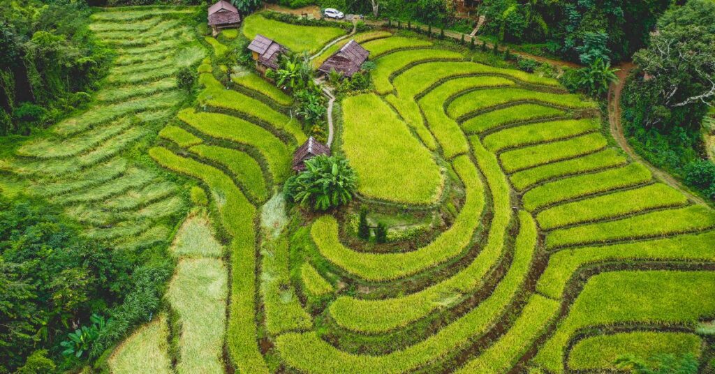 Trekking i norra Thailand Upptäck djungeln